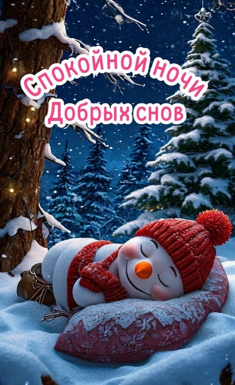 Прикольные зимние открытки «Спокойной ночи!»