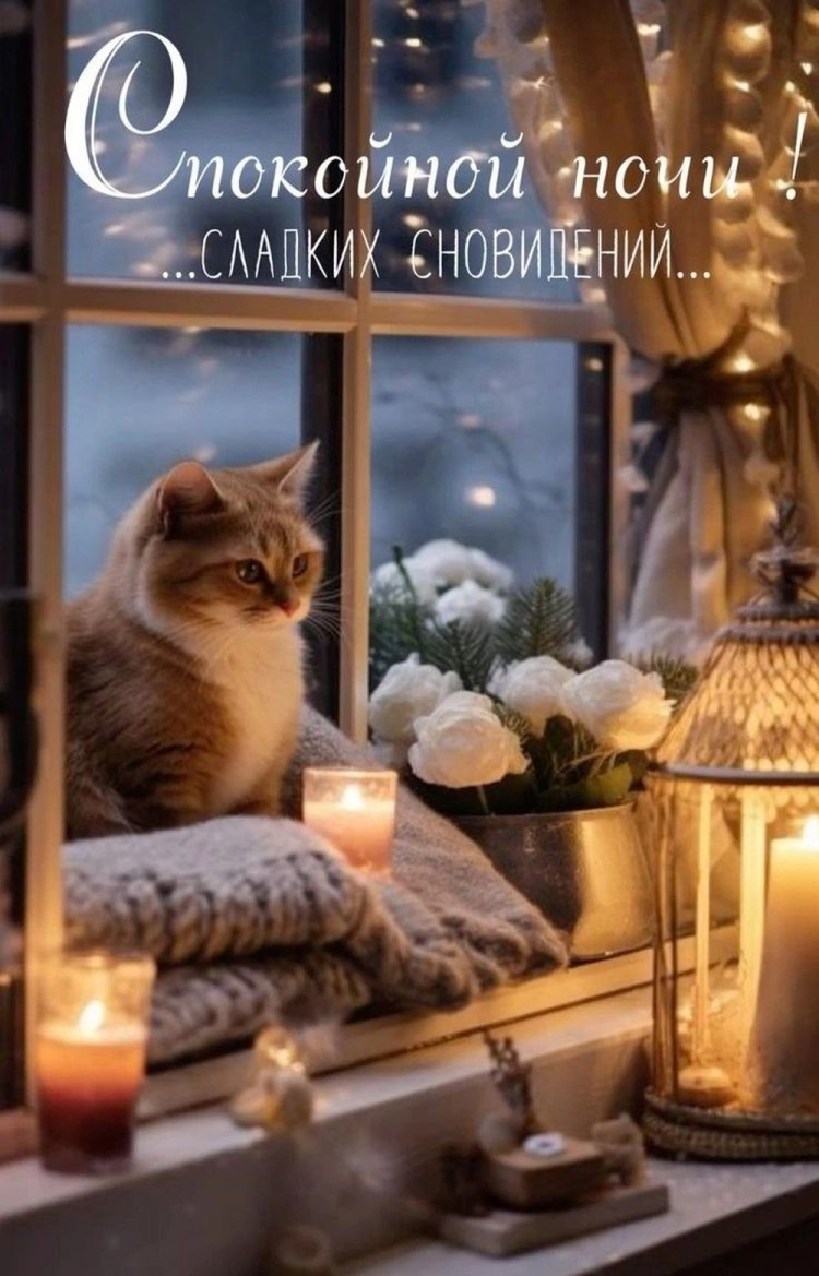 Зимние открытки «Спокойной ночи!» женщине