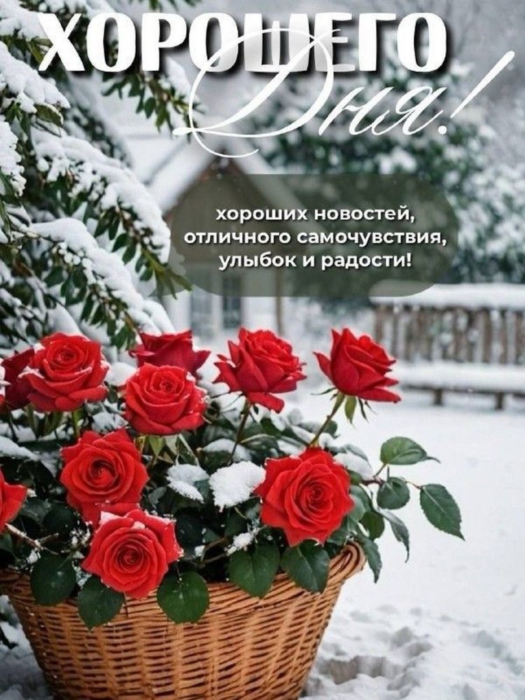 Оригинальные и красивые зимние открытки «Хорошего дня!»