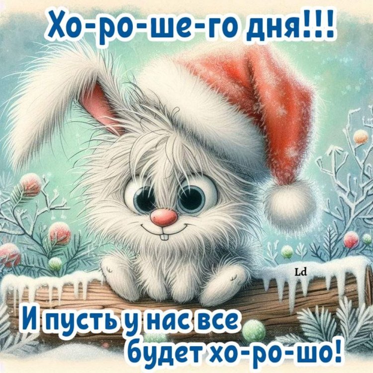 Прикольные зимние открытки и картинки «Хорошего дня!»