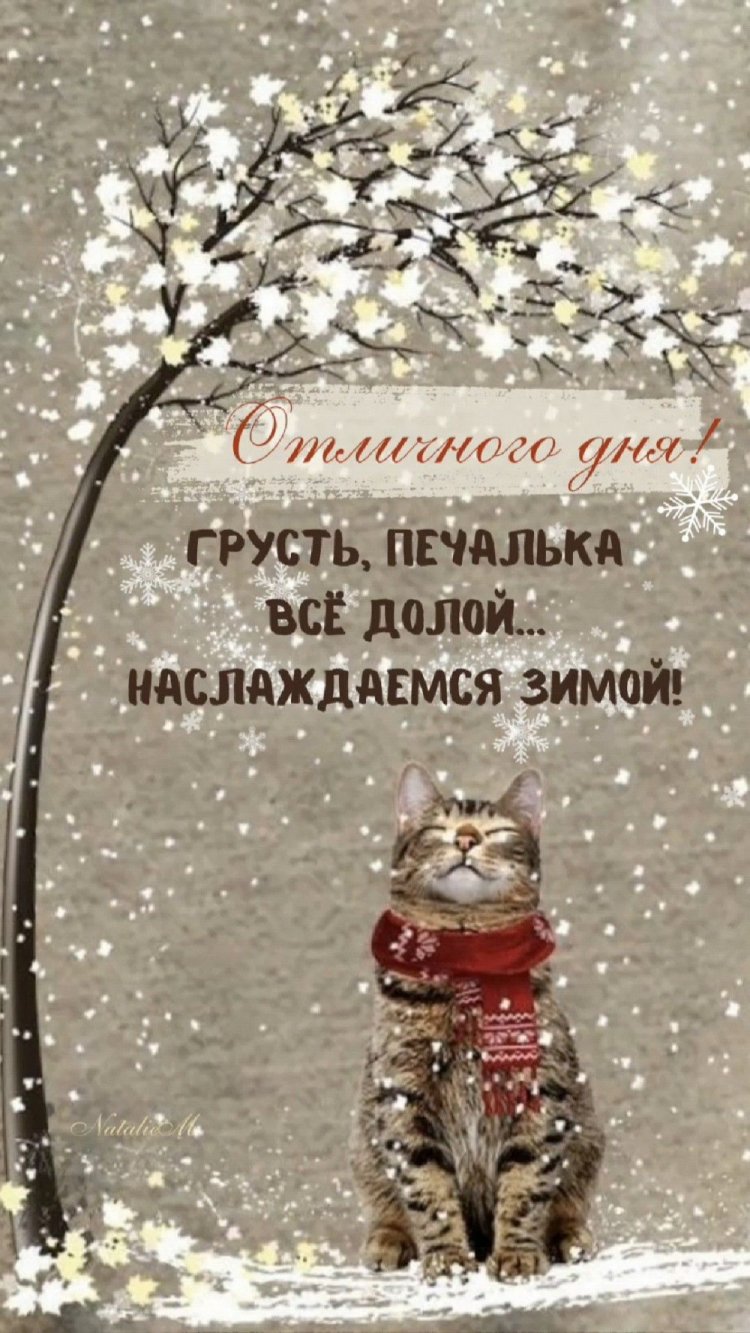 Прикольные зимние открытки и картинки «Хорошего дня!»