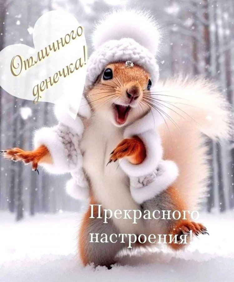 Прикольные зимние открытки и картинки «Хорошего дня!»