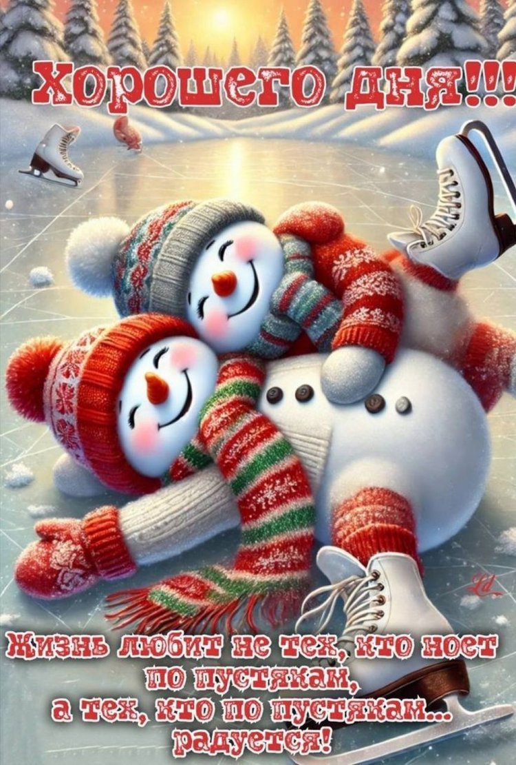 Прикольные зимние открытки и картинки «Хорошего дня!»