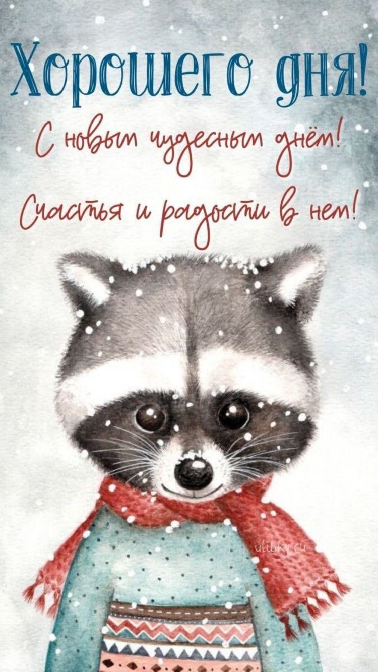 Прикольные зимние открытки и картинки «Хорошего дня!»