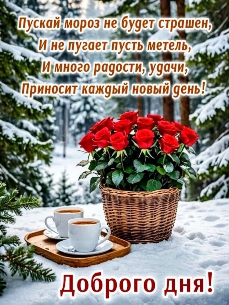 Трогательные зимние открытки «Хорошего дня!»