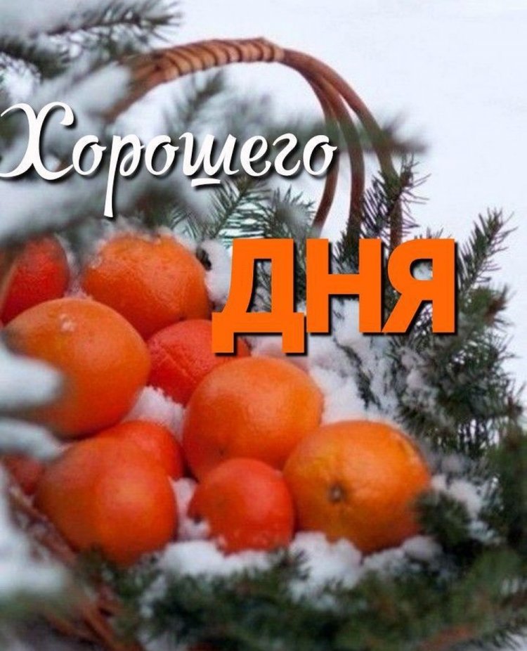 Зимние открытки «Хорошего дня!» мужчине