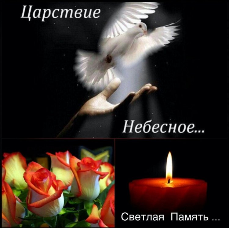 Картинки «Вечная память» с голубем