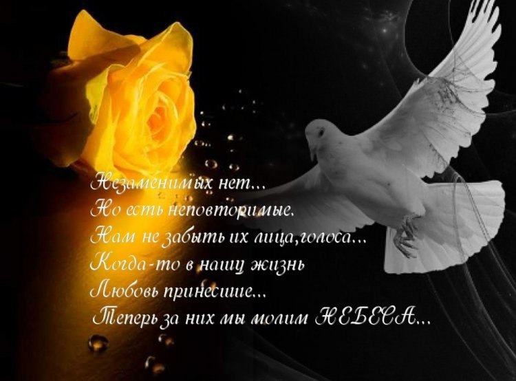 Картинки «Вечная память» с голубем