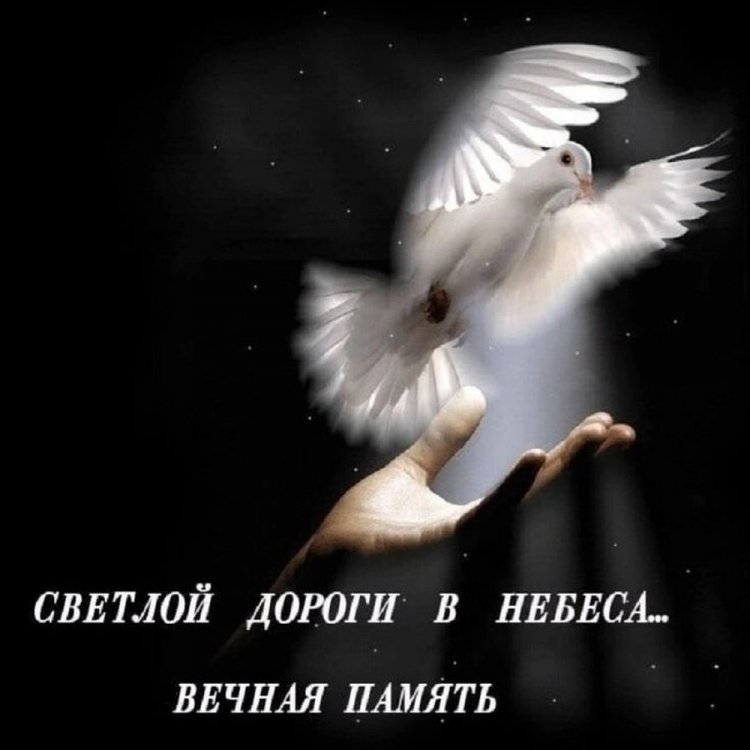 Картинки «Вечная память» с голубем