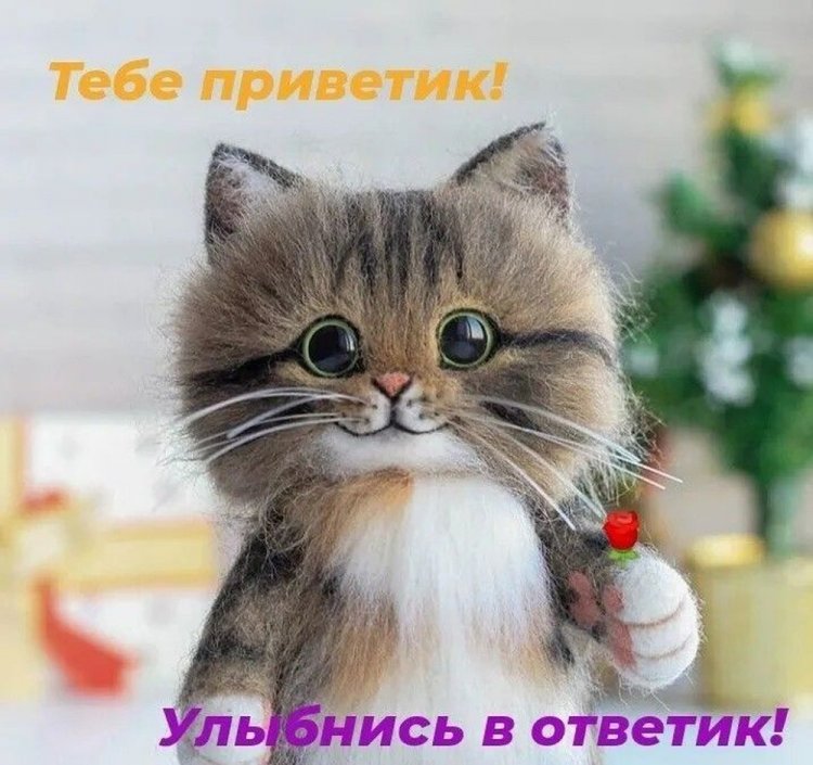 Прикольные открытки и картинки «Привет!»