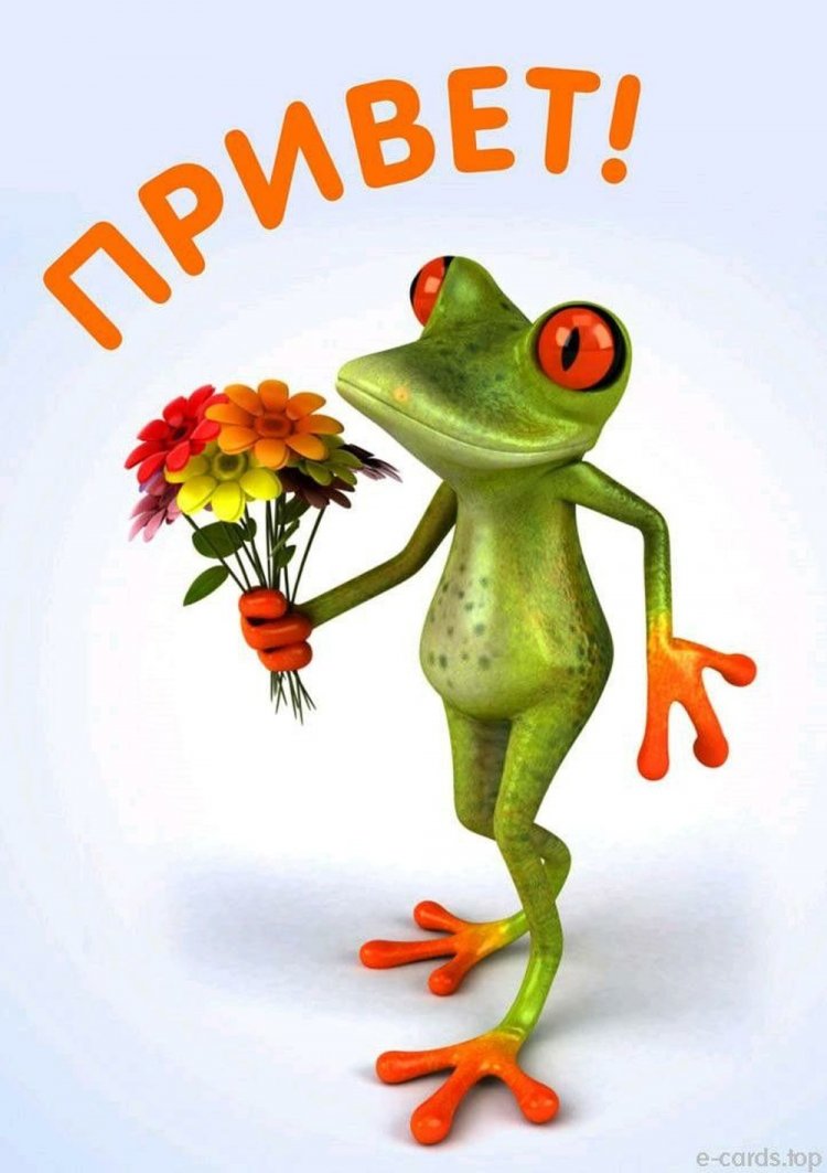 Прикольные открытки и картинки «Привет!»