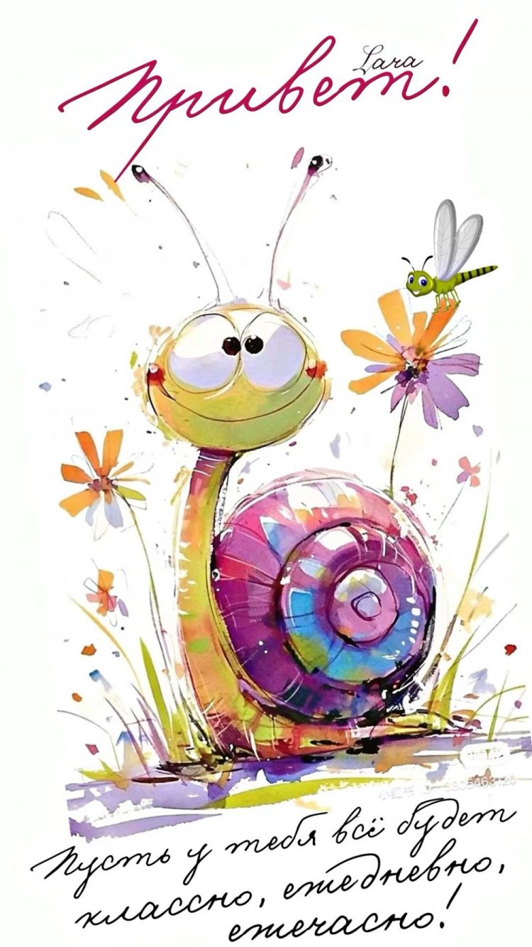 Прикольные открытки и картинки «Привет!»