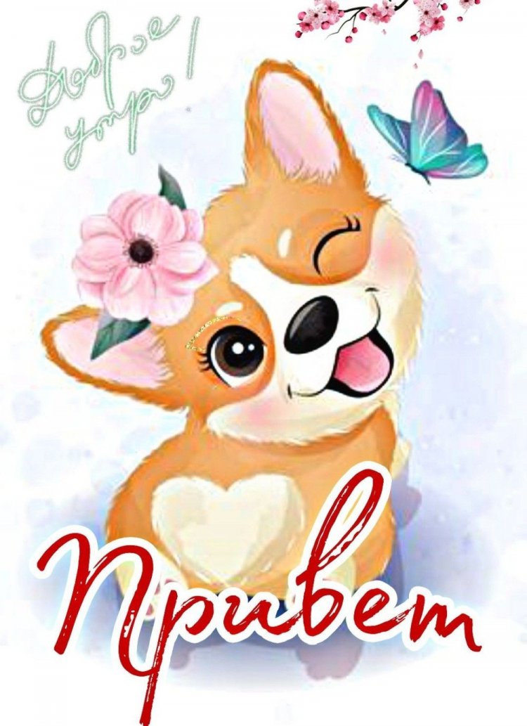 Открытки «Привет и доброе утро!»