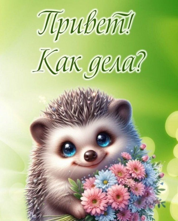 Открытки и картинки «Привет! Как дела?»