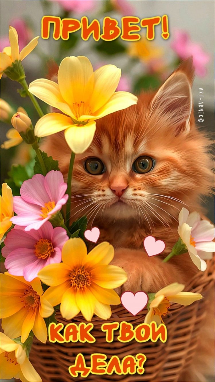 Открытки и картинки «Привет! Как дела?»