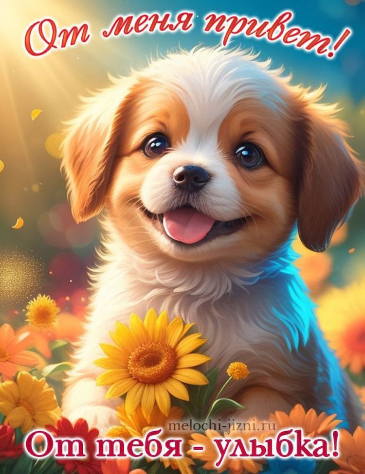 Открытки «Привет!» для женщины