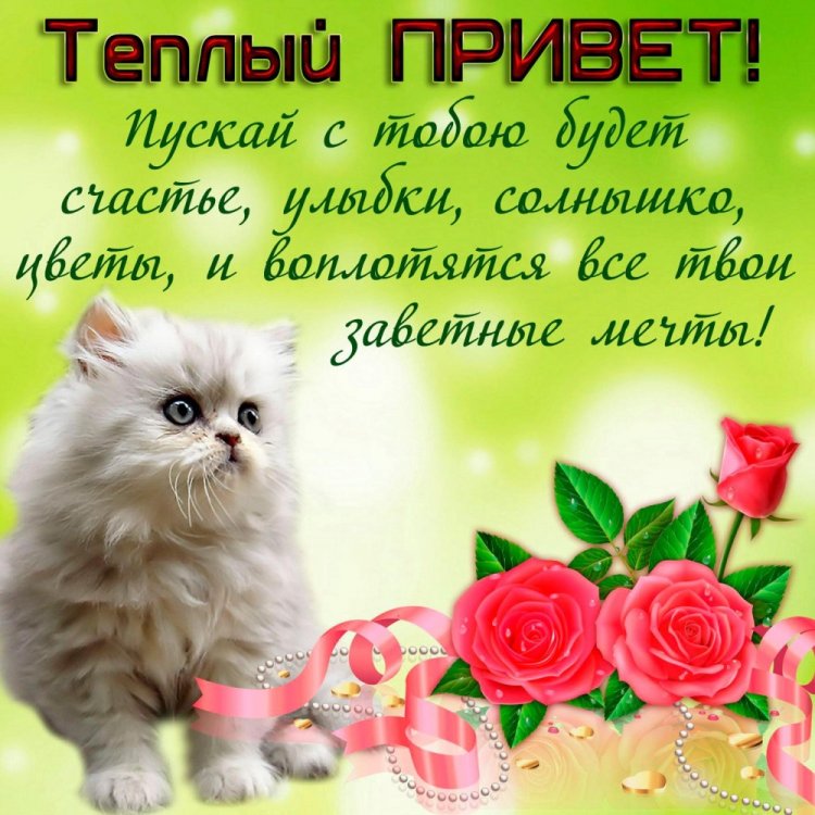 Открытки «Привет!» для женщины