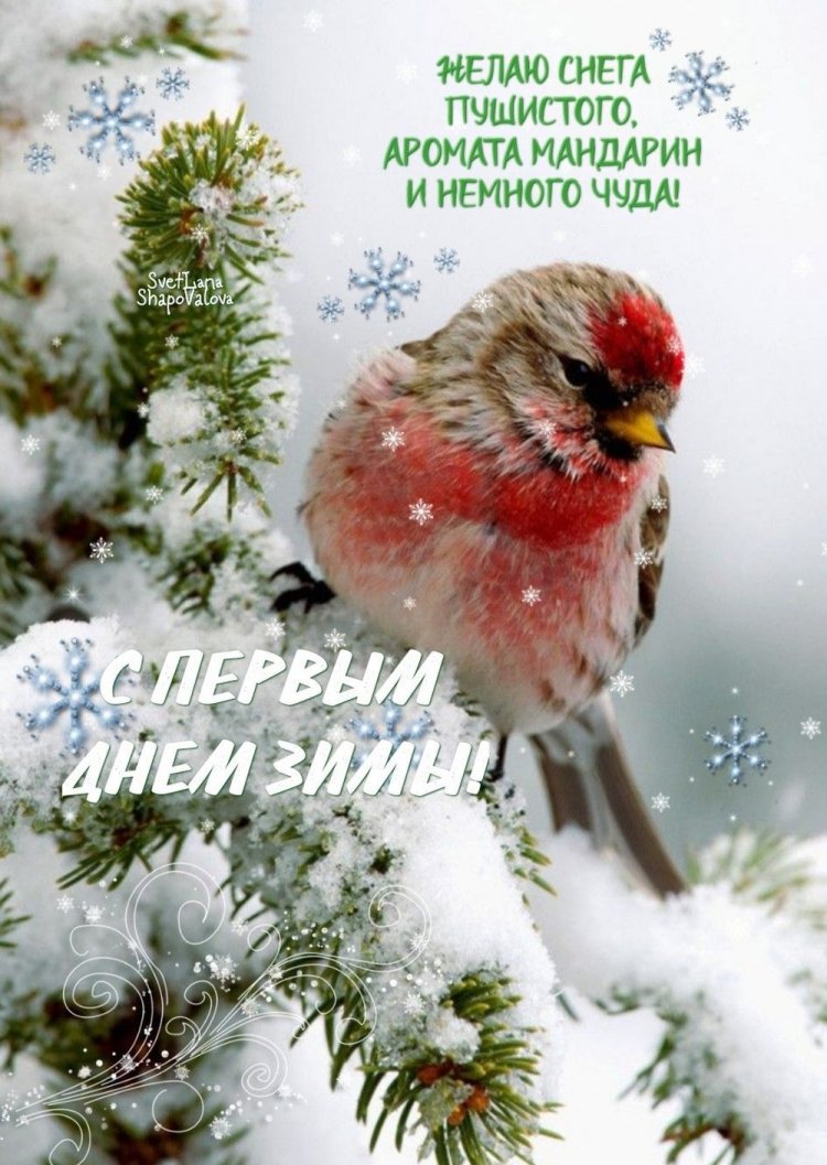Открытки «С первым днем зимы!» с пожеланиями