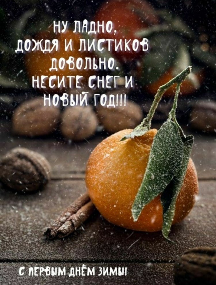 Прикольные открытки и картинки «С первым днем зимы!»