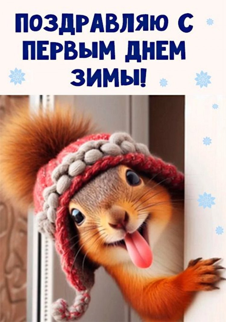 Прикольные открытки и картинки «С первым днем зимы!»