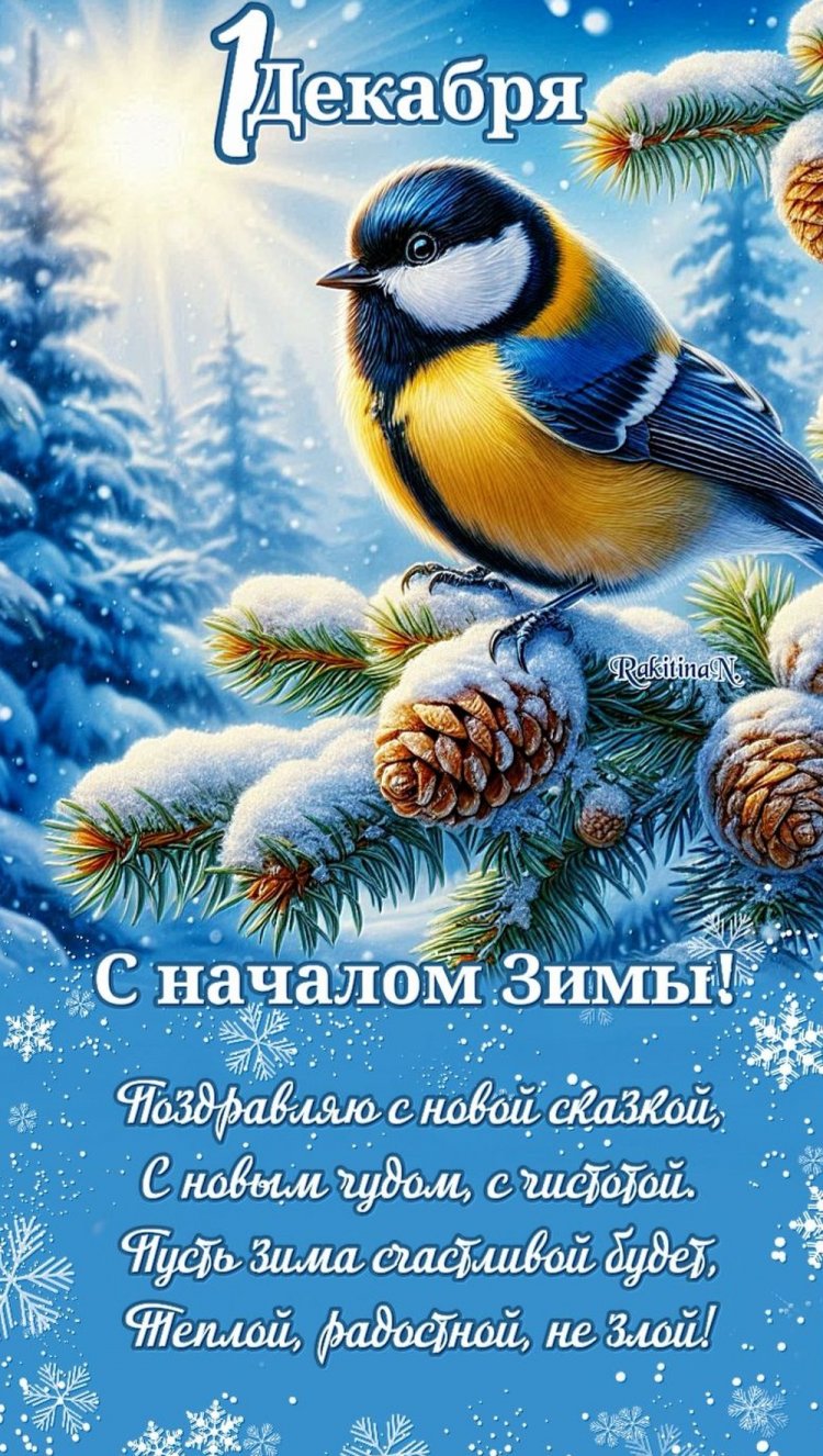 Открытки «С первым днем зимы!» с пожеланиями