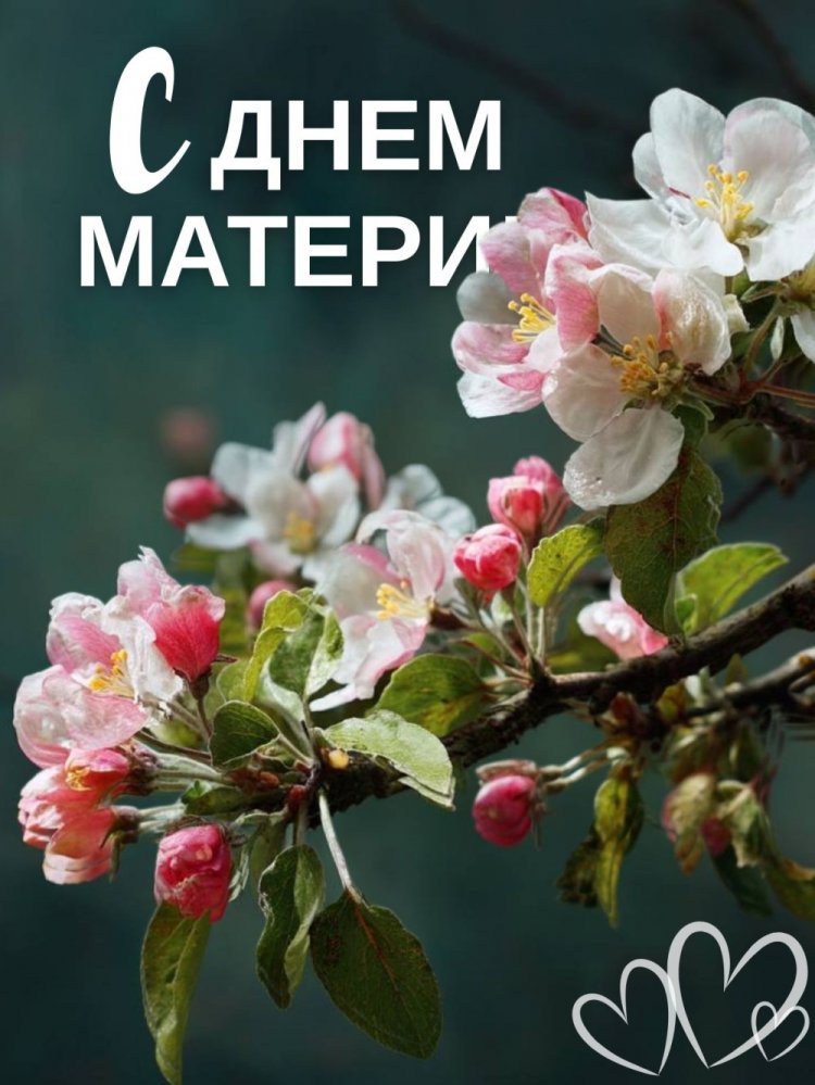 Открытки и картинки с Днем матери от сына