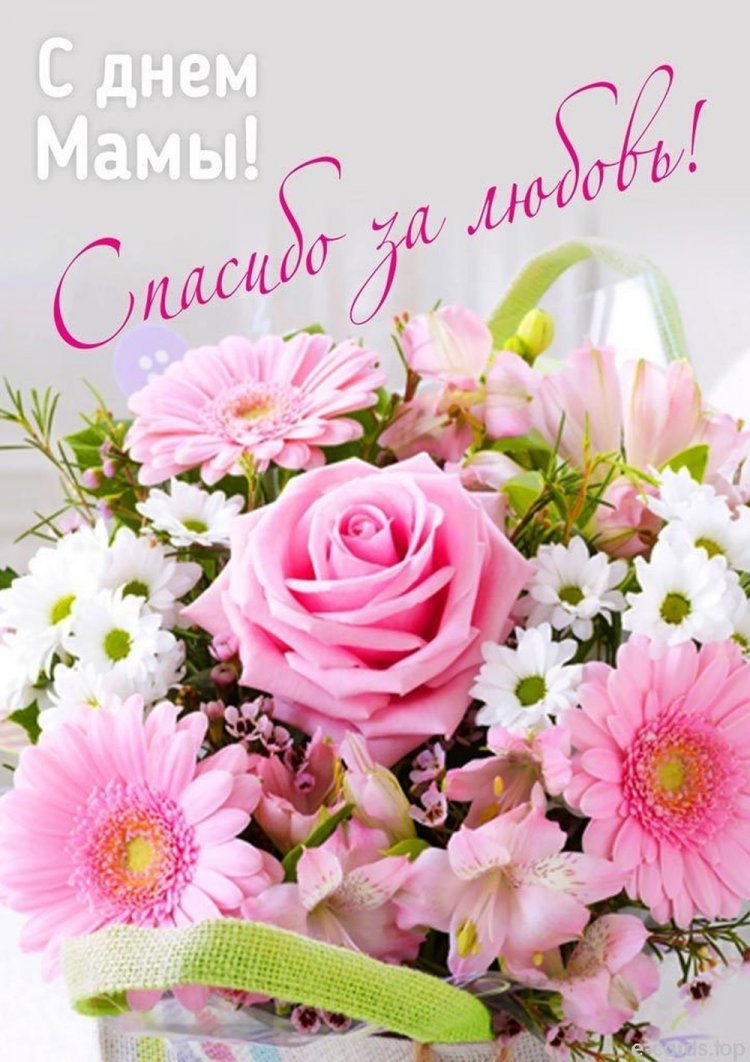 Открытки и картинки с Днем матери от сына