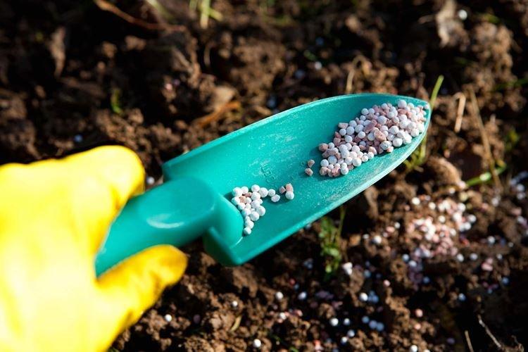 Обработка почвы - Применение фунгицидов для растений