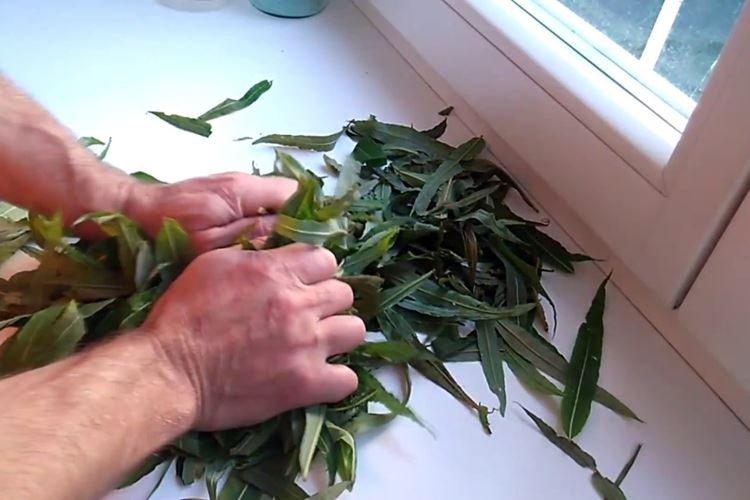 Чай из иван-чая - Рецепт Чай из иван-чая - Рецепт