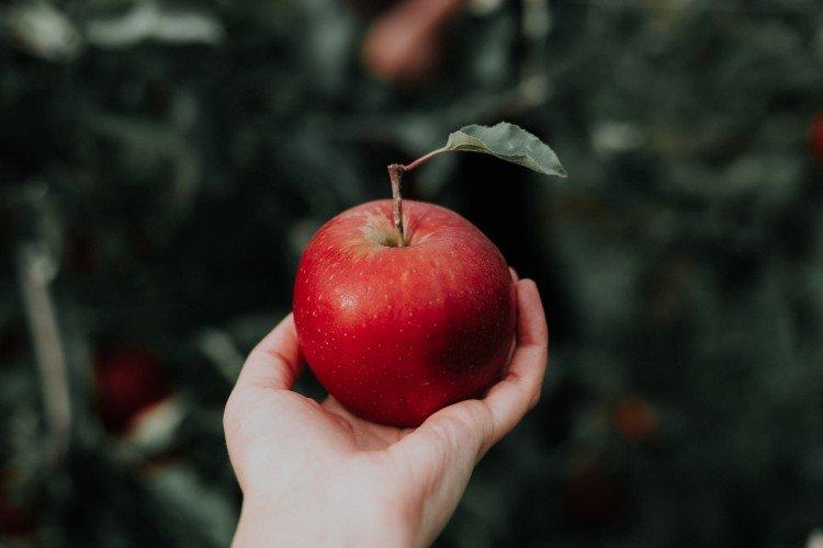Яблоки - Как избавиться от запаха изо рта