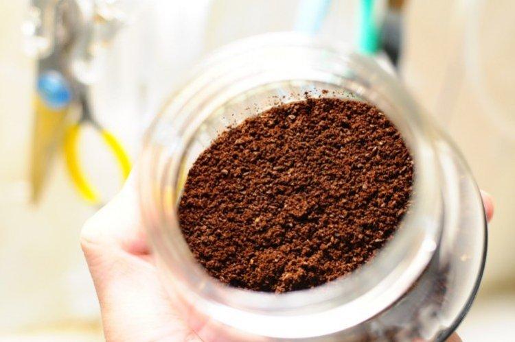 Кофе - Как избавиться от запаха в холодильнике