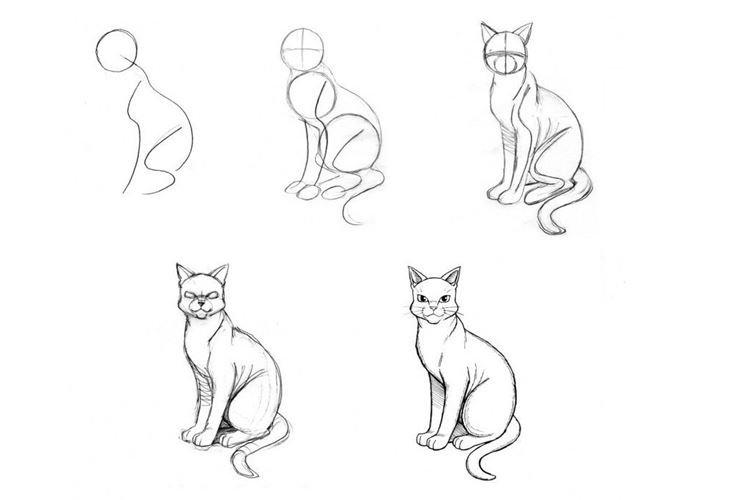 Как нарисовать сидящего кота