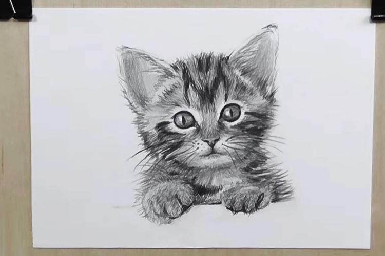 Как нарисовать кошку карандашом 