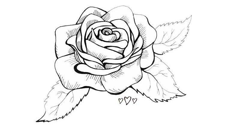 Как нарисовать розу по лепесткам