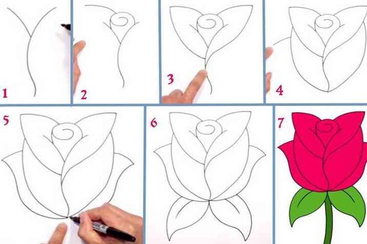 Как нарисовать розу для маленьких детей