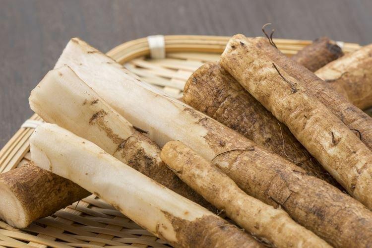 Корень лопуха для кожи Корень лопуха для кожи