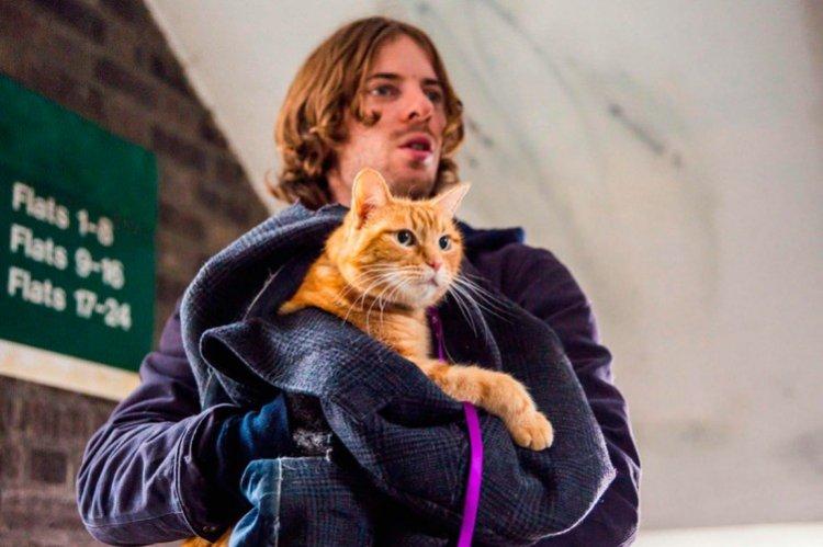 Уличный кот по кличке Боб - Лучшие британские фильмы