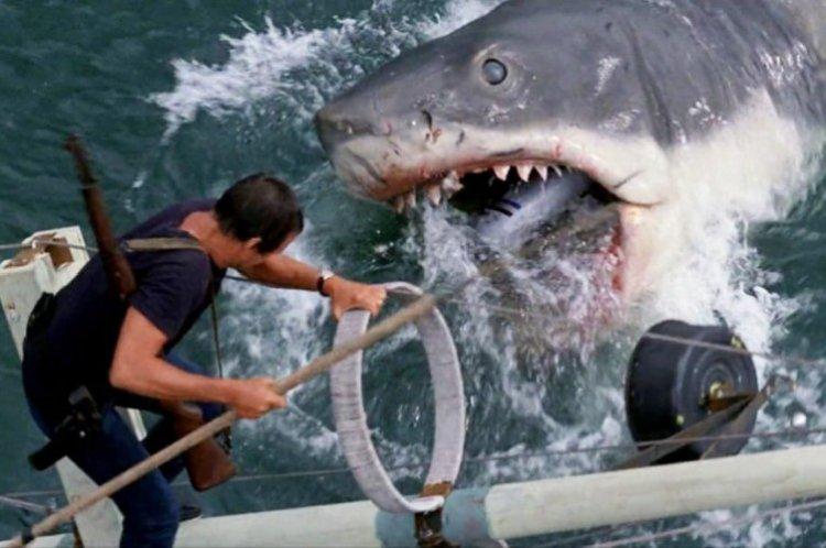 Челюсти - Лучшие фильмы про акул