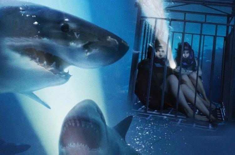 Синяя бездна - Лучшие фильмы про акул