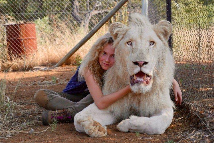 Миа и белый лев - Лучшие фильмы про путешествия
