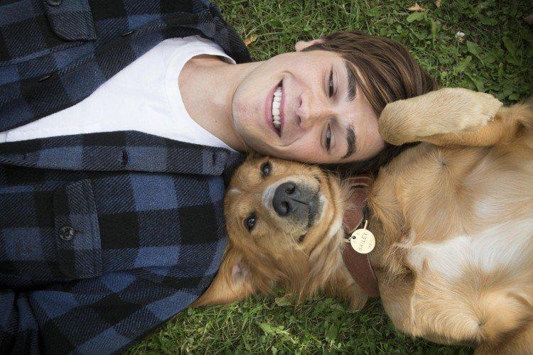 Собачья жизнь - лучшие фильмы про собак