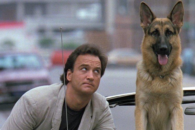 К-9 Собачья работа - лучшие фильмы про собак