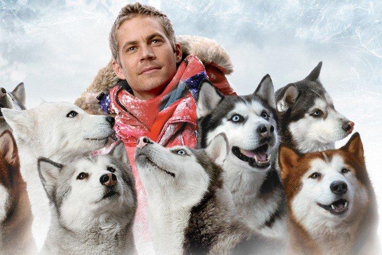 Белый плен - лучшие фильмы про собак