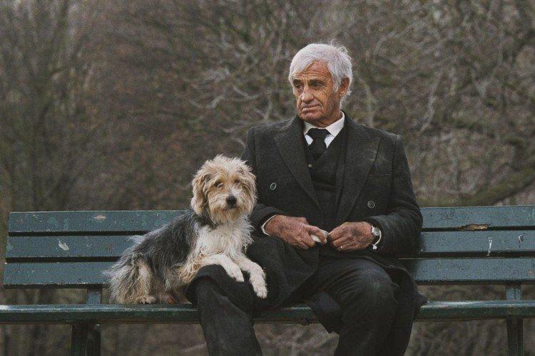 Человек и его собака - лучшие фильмы про собак