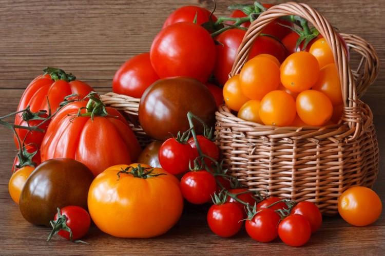 Лучшие сорта томатов для Подмосковья: фото, названия и описания (каталог)