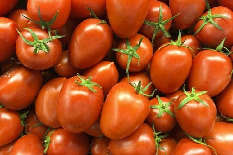 Буденовка - Сорта томатов для теплиц из поликарбоната