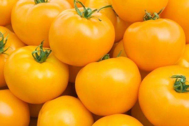 В десятку - Сорта томатов для теплиц не требующие пасынкования