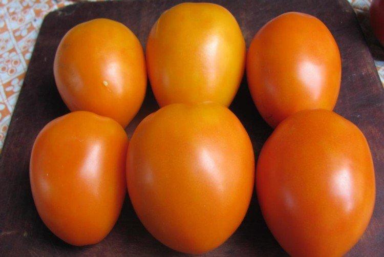 luchshie sorta tomatov nazvaniya foto 1200 47787
