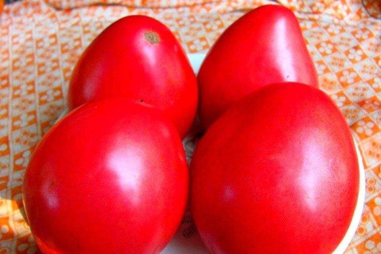 luchshie sorta tomatov nazvaniya foto 1200 47791