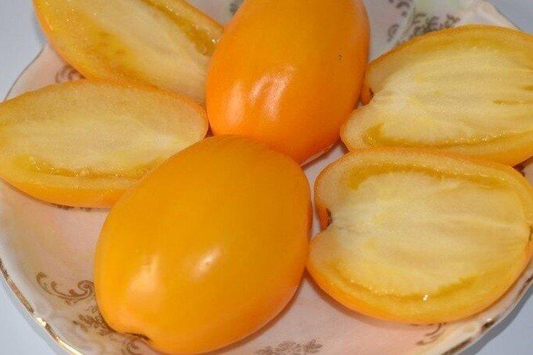 Буян желтый - Низкорослые сорта томатов
